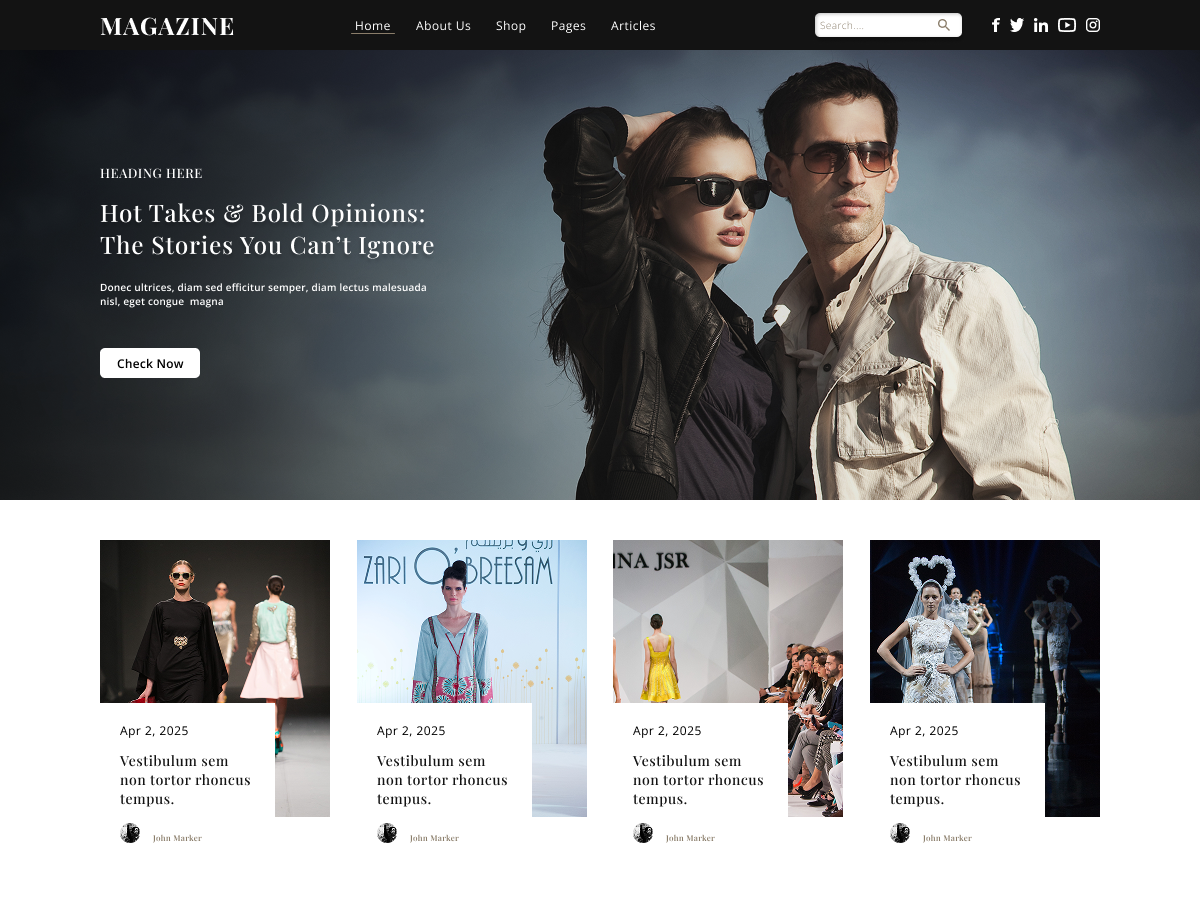 Free Magazine WordPress Theme