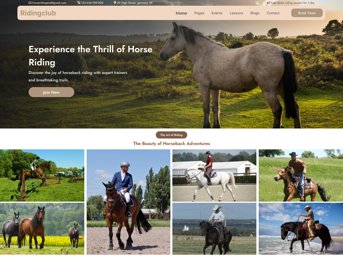 Free Equestrian WordPress Theme