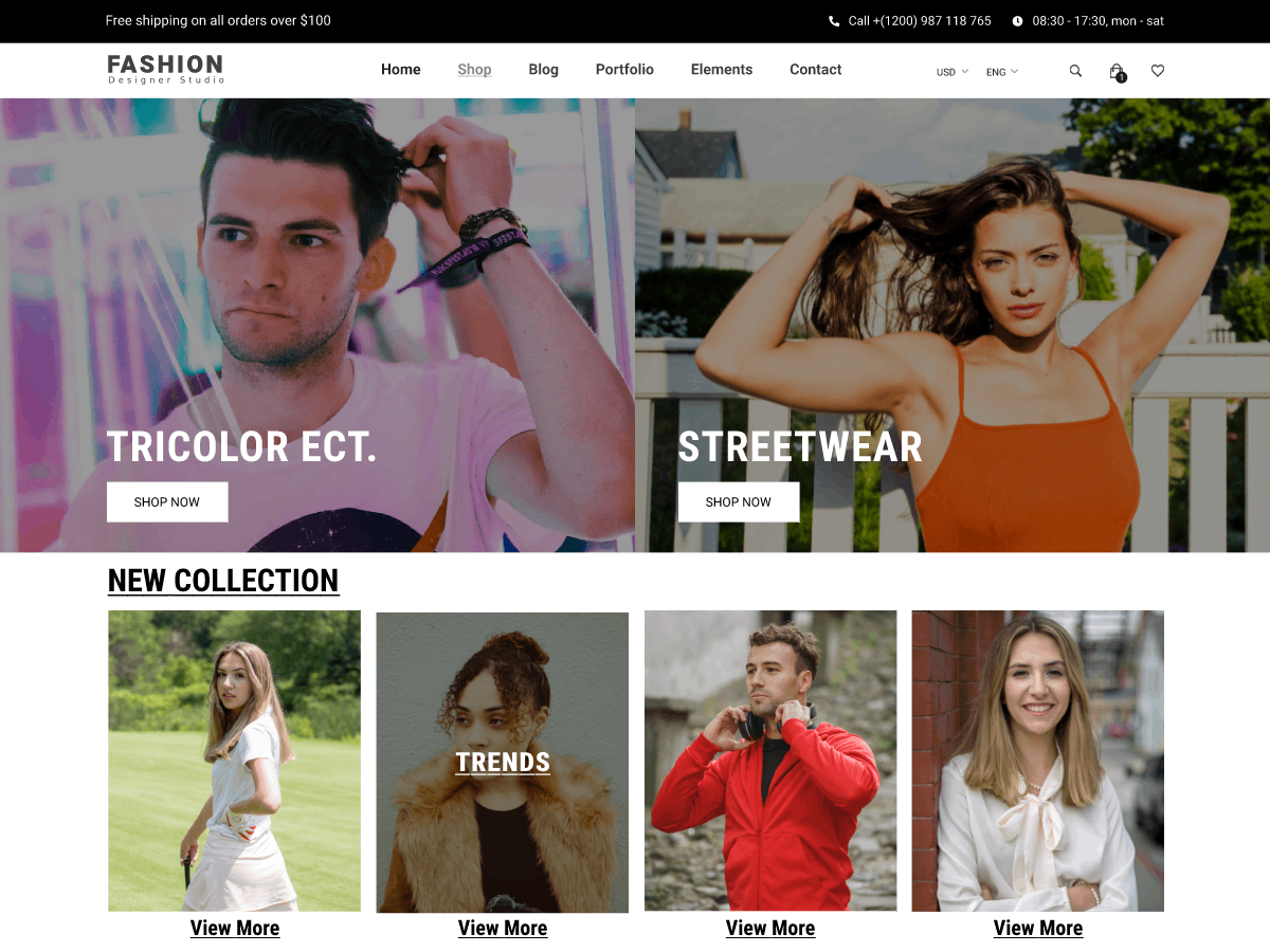 Free Fashion WordPress Theme