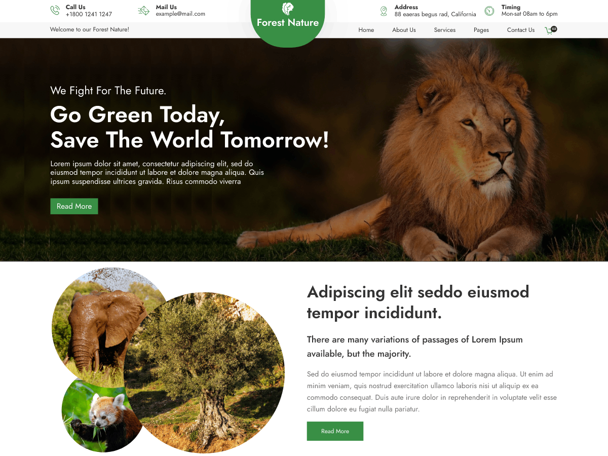 Free Forest WordPress Theme