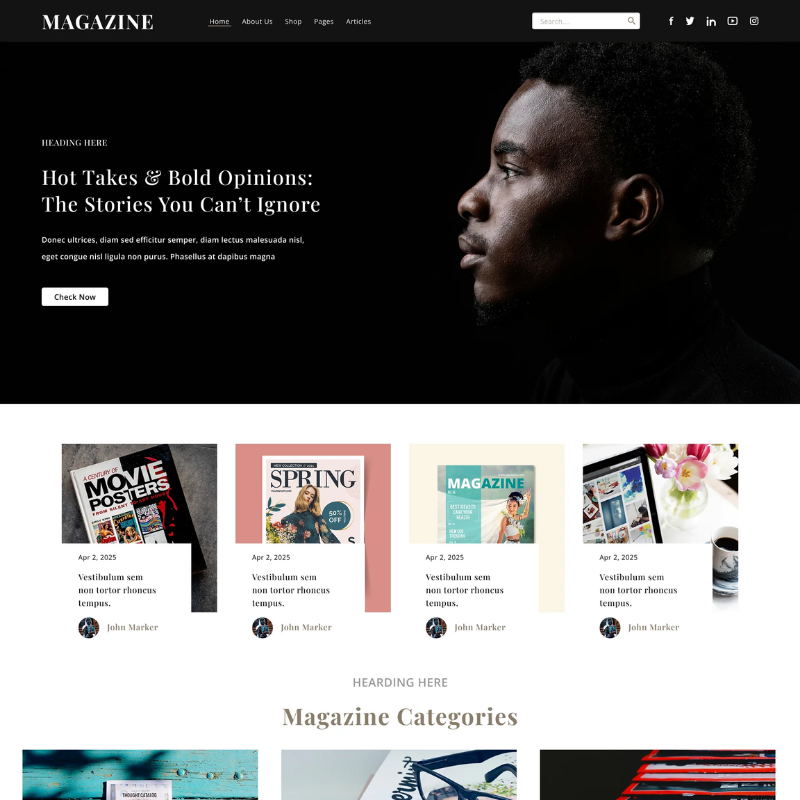Online Magazine WordPress Theme
